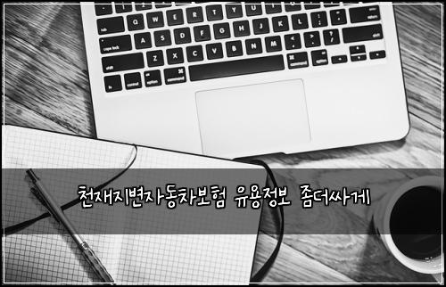 천재지변자동차보험 유용정보  좀더싸게