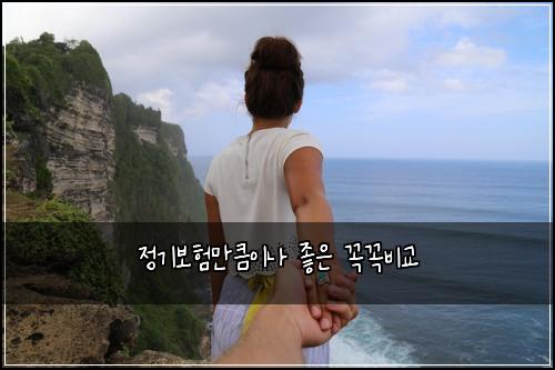 정기보험만큼이나 좋은 꼭꼭비교