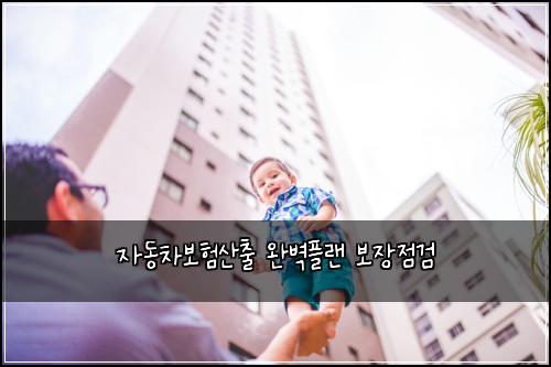 자동차보험산출 완벽플랜 보장점검