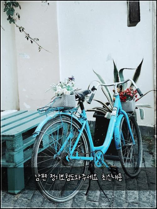 남편 정기보험도와주세요 최신내용