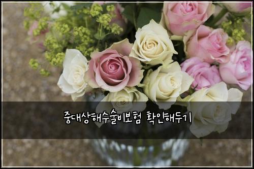 중대상해수술비보험 확인해두기 