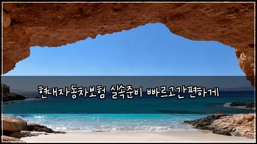 현대자동차보험 실속준비  빠르고간편하게