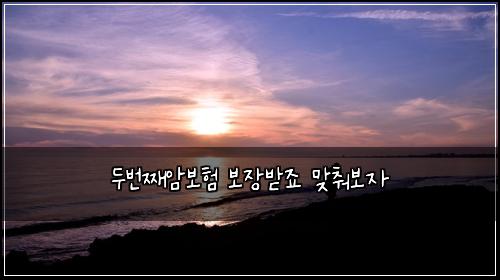 두번째암보험 보장받죠  맞춰보자
