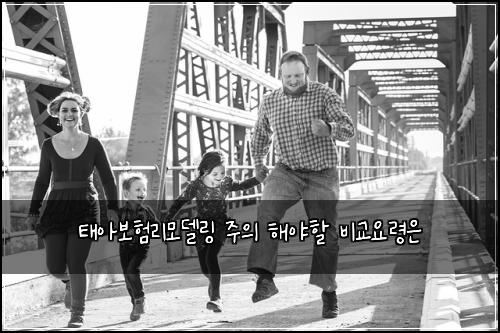 ํ์๋ณดํ๋ฆฌ๋ชจ๋ธ๋ง ์ฃผ์ ํด์ผํ ๋น๊ต์๋ น์