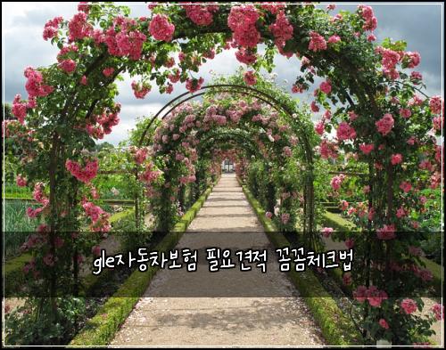 gle자동차보험 필요견적  꼼꼼체크법