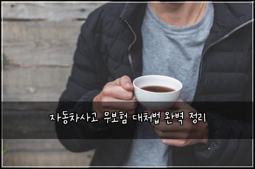 자동차사고 무보험 대처법 완벽 정리
