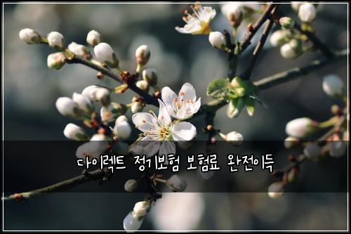 ๋ค์ด๋ ํธ ์ ๊ธฐ๋ณดํ ๋ณดํ๋ฃ ์์ ์ด๋