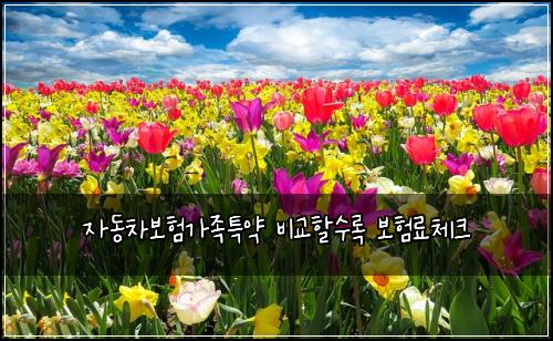 자동차보험가족특약 비교할수록 보험료체크