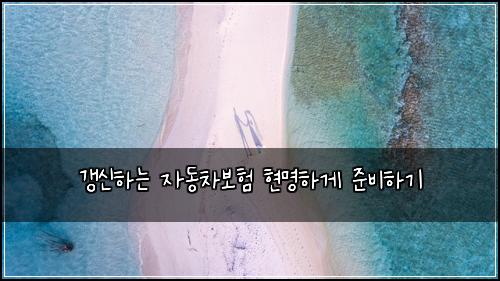 갱신하는 자동차보험 현명하게 준비하기