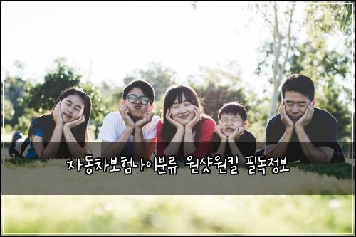 자동차보험나이분류 원샷원킬 필독정보