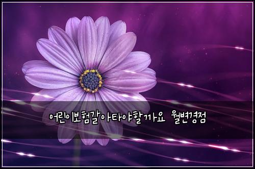 어린이보험갈아타야할까요 월변경점