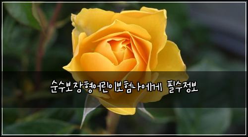 순수보장형어린이보험나에게 필수정보