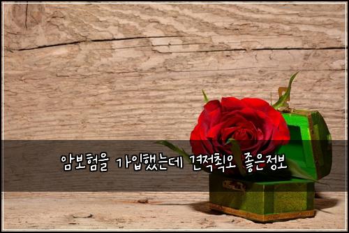 암보험을 가입했는데 견적쵝오 좋은정보