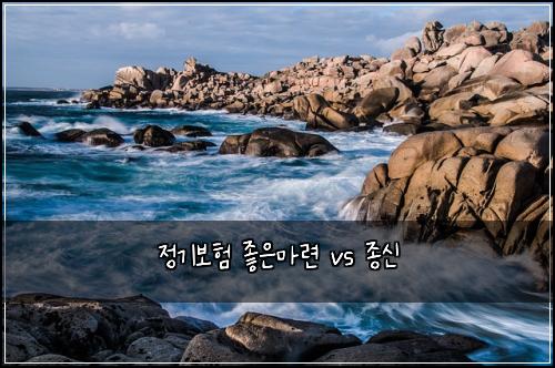 정기보험 좋은마련  vs 종신