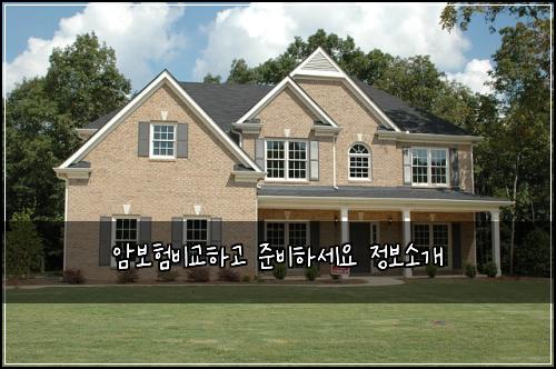 암보험비교하고 준비하세요 정보소개