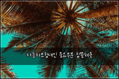 자동차보험대인 중요부분 집쯍해욧