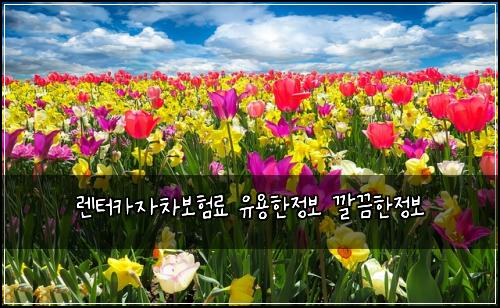 렌터카자차보험료 유용한정보 깔끔한정보