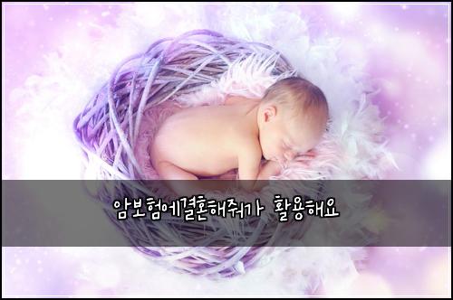 암보험에결혼해줘가 활용해요