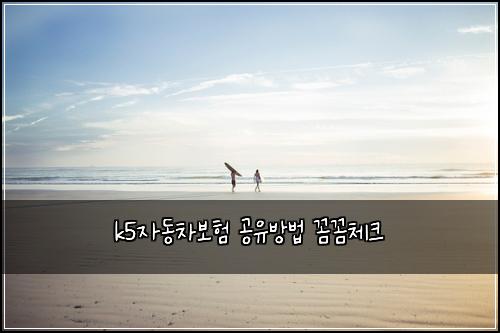 k5์๋์ฐจ๋ณดํ ๊ณต์ ๋ฐฉ๋ฒ ๊ผผ๊ผผ์ฒดํฌ