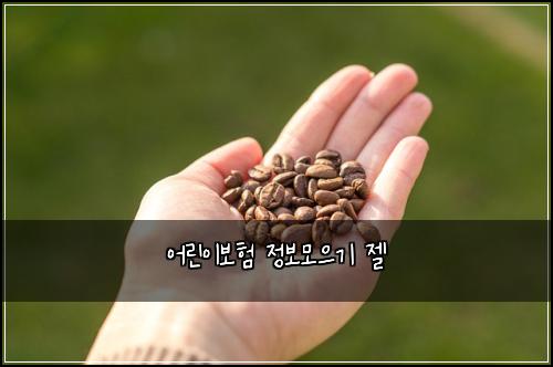 ์ด๋ฆฐ์ด๋ณดํ ์ ๋ณด๋ชจ์ผ๊ธฐ ์ ค