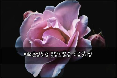 메리츠암보험 부담이없음  의료실비암