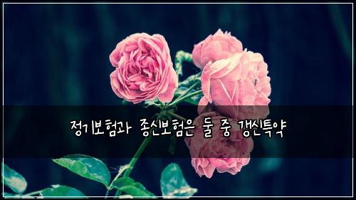정기보험과 종신보험은 둘 중 갱신특약