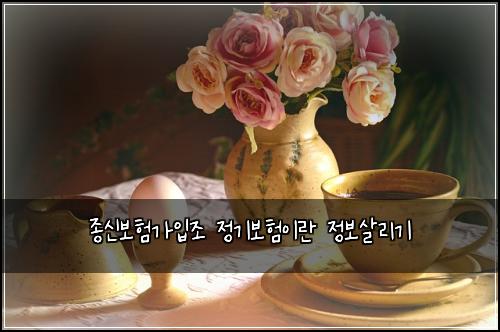 종신보험가입조 정기보험이란 정보살리기