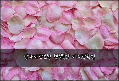 상해사망보험 핵심특약  마지막확인