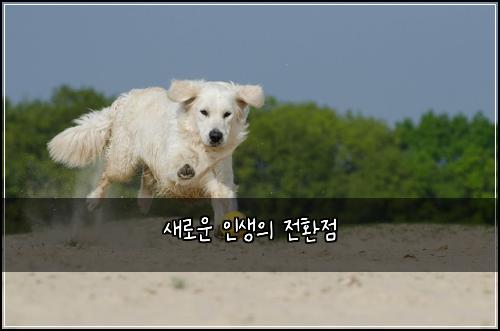 새로운 인생의 전환점