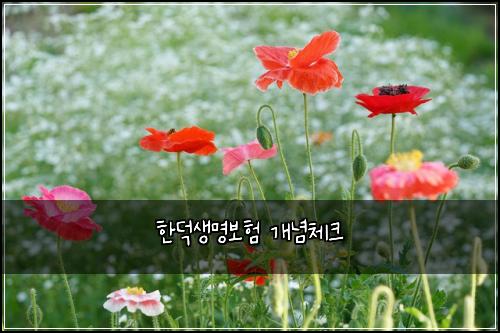 ํ๋์๋ช
๋ณดํ ๊ฐ๋
์ฒดํฌ