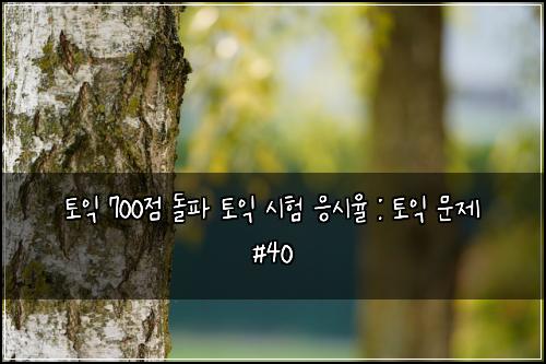 토익 700점 돌파 토익 시험 응시율 : 토익 문제 #40