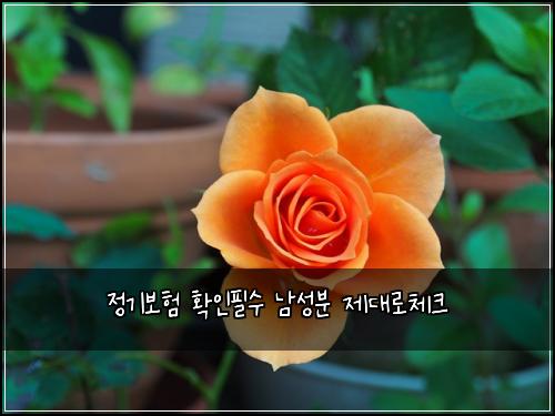 정기보험 확인필수  남성분 제대로체크