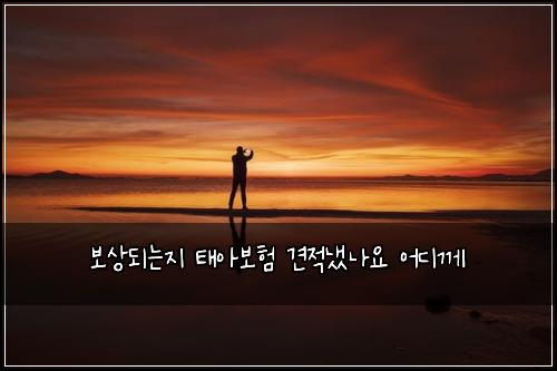 ๋ณด์๋๋์ง ํ์๋ณดํ ๊ฒฌ์ ๋๋์ ์ด๋๊ป