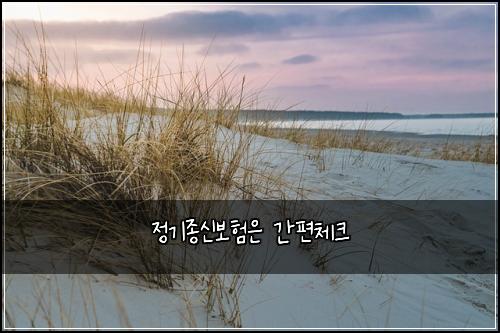 정기종신보험은 간편체크