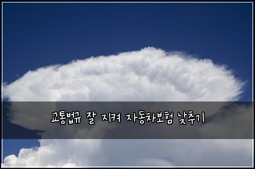 교통법규 잘 지켜 자동차보험 낮추기