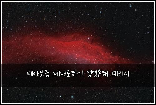 태아보험 제대로하기  생명손해 패키지