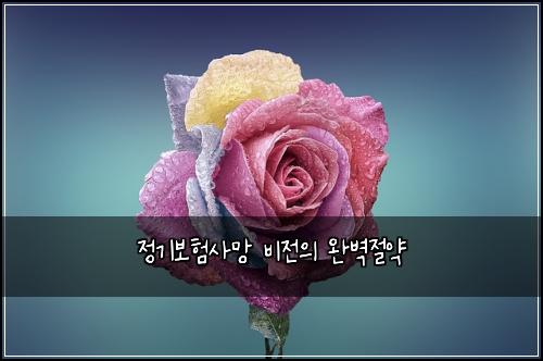 정기보험사망 비전의 완벽절약