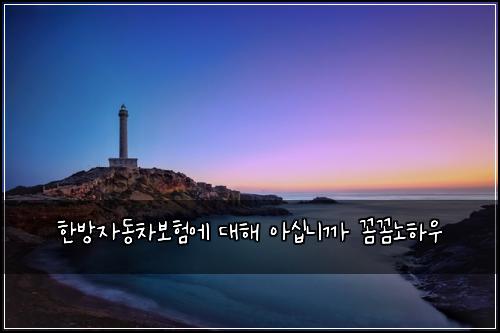 ํ๋ฐฉ์๋์ฐจ๋ณดํ์ ๋ํด ์์ญ๋๊น ๊ผผ๊ผผ๋
ธํ์ฐ