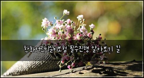 한화어린이실비보험 필수진행  알아보기 길