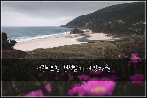 어린이보험 견적받기  예방차원