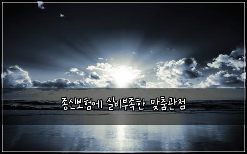 종신보험에 실비부족한 맞춤관점