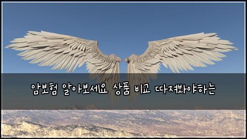 암보험 알아보세요  상품 비교 따져봐야하는