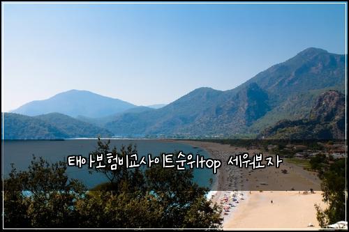 ํ์๋ณดํ๋น๊ต์ฌ์ดํธ์์top ์ธ์๋ณด์