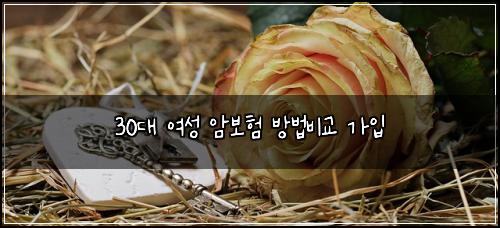 30대 여성 암보험 방법비교  가입