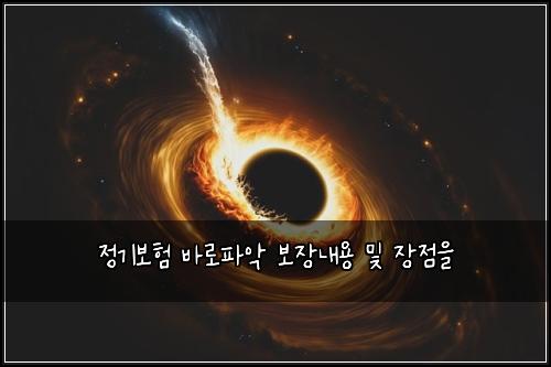 정기보험 바로파악  보장내용 및 장점을