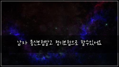 남자 종신보험말고 정기보험으로 할수있어요
