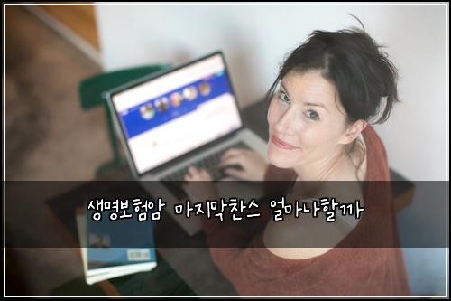 ์๋ช
๋ณดํ์ ๋ง์ง๋ง์ฐฌ์ค ์ผ๋ง๋ํ ๊น