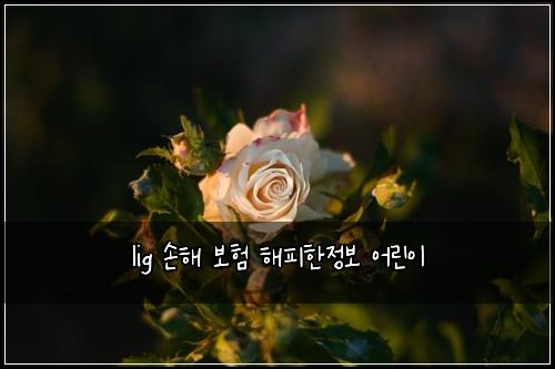 lig ์ํด ๋ณดํ ํดํผํ์ ๋ณด ์ด๋ฆฐ์ด
