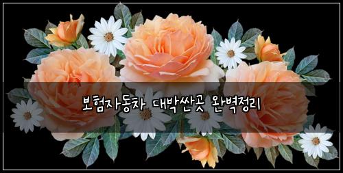 보험자동차 대박싼곳 완벽정리