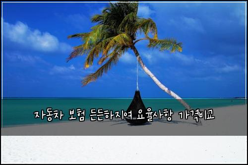 자동차 보험 든든하지여  요율사항 가격비교